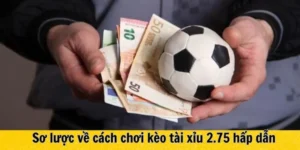 Tìm Hiểu Cách Chơi Kèo 2.75 Trong Các Trận Cầu Đỉnh Cao