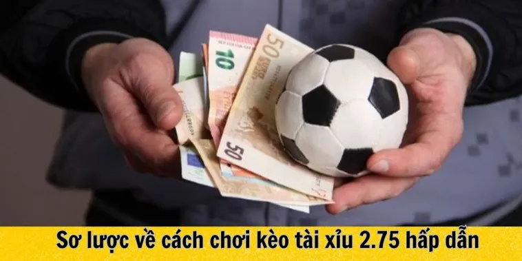 Tìm Hiểu Cách Chơi Kèo 2.75 Trong Các Trận Cầu Đỉnh Cao