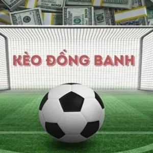 Chia Sẻ Cách Chơi Kèo Đồng Banh Chuyên Nghiệp Từ Chuyên Gia