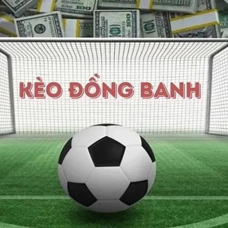 Chia Sẻ Cách Chơi Kèo Đồng Banh Chuyên Nghiệp Từ Chuyên Gia