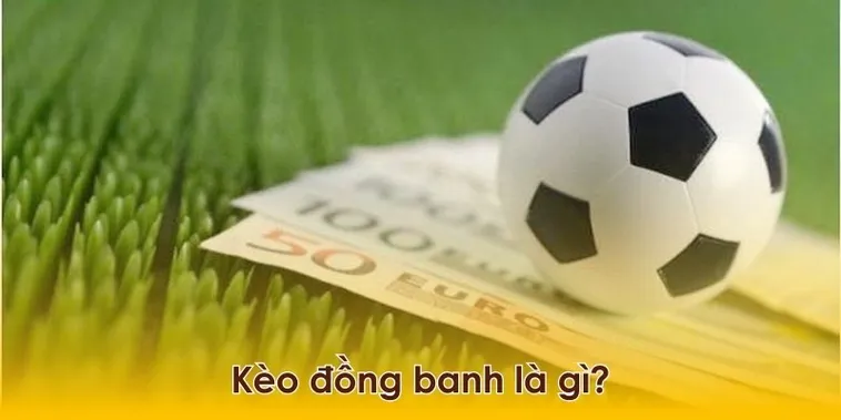Chia Sẻ Cách Chơi Kèo Đồng Banh Chuyên Nghiệp Từ Chuyên Gia
