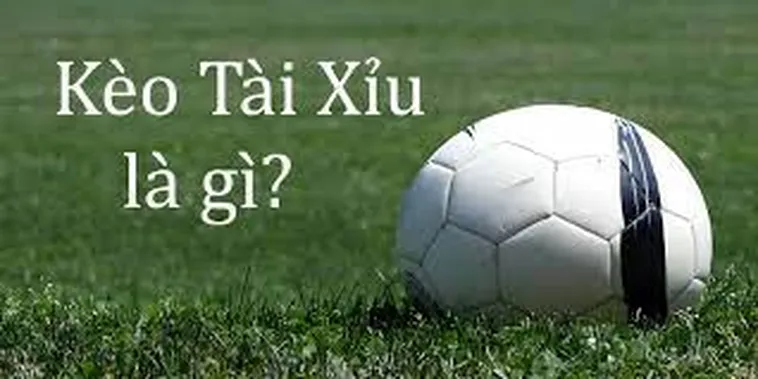 Hướng Dẫn Cách Chơi Kèo Tài Xỉu Giúp Nâng Cao Tỷ Lệ Chiến Thắng
