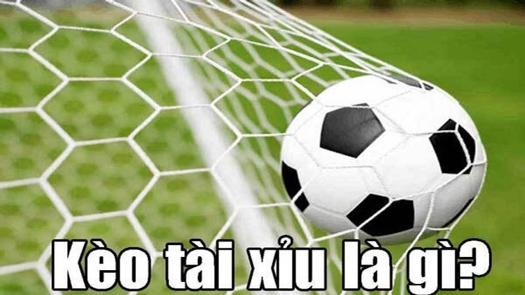 Bí Quyết Cách Chơi Kèo Tài Xỉu Bóng Đá Hiệu Quả Cho Mọi Trận Đấu