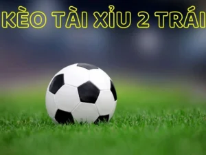 Bí Quyết Cách Chơi Kèo Tài Xỉu Bóng Đá Hiệu Quả Cho Mọi Trận Đấu