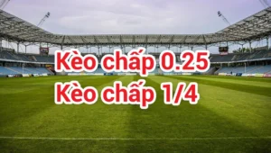 Bí Quyết Cách Chơi Kèo Chấp 0.25 Cho Người Mới Bắt Đầu